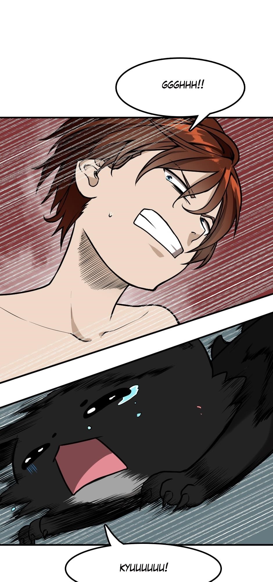 Chapter 48 Image(5)